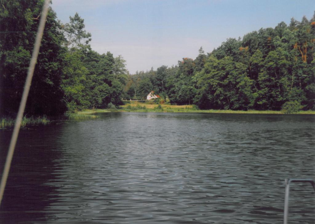 polnoc szelaga wlk